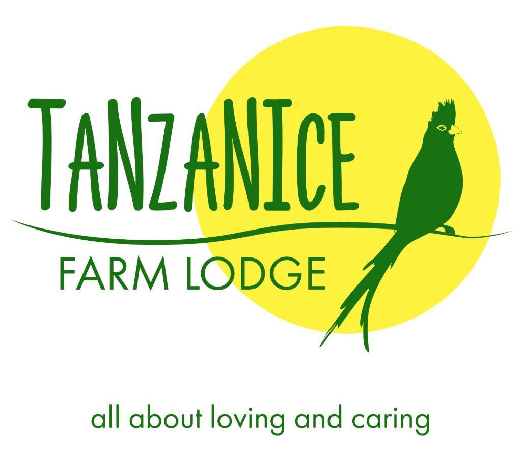 Tanzanice Farm Lodge 카라투 외부 사진