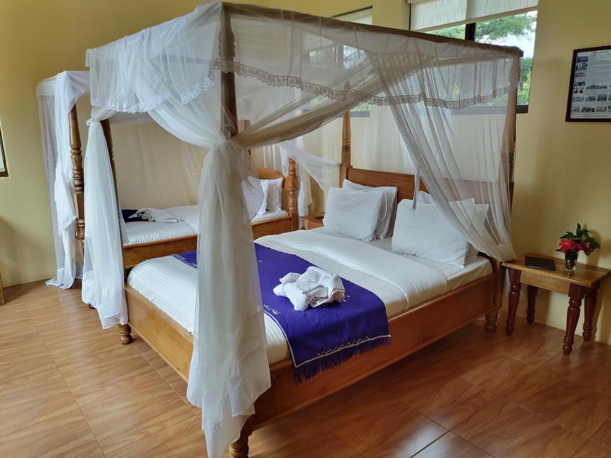 Tanzanice Farm Lodge 카라투 외부 사진
